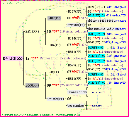 Pedigree of B412(HGS) :
four generations presented