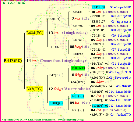 Pedigree of B413(PG) :
four generations presented
it's temporarily unavailable, sorry!