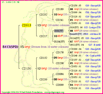 Pedigree of B413(SPD) :
four generations presented