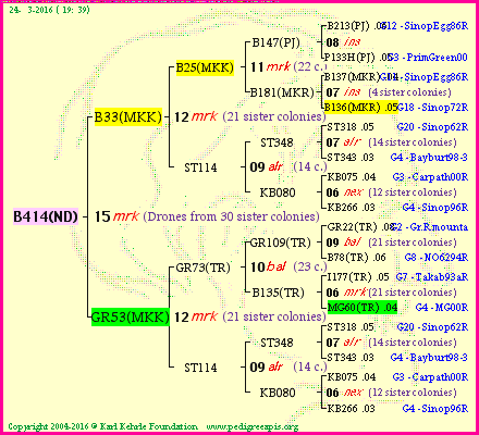 Pedigree of B414(ND) :
four generations presented
it's temporarily unavailable, sorry!