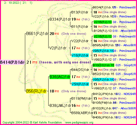 Pedigree of B414(PJ)1dr :
four generations presented
it's temporarily unavailable, sorry!