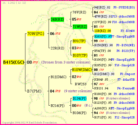 Pedigree of B415(CGC) :
four generations presented