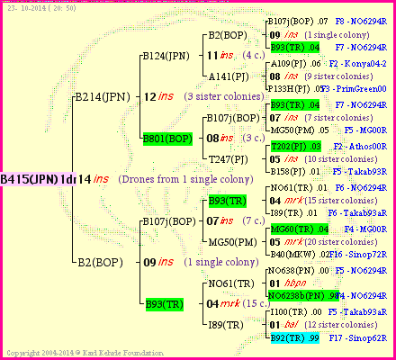 Pedigree of B415(JPN)1dr :
four generations presented