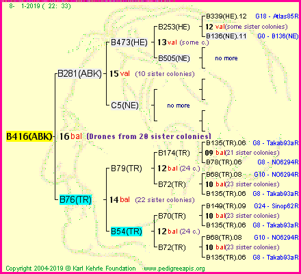 Pedigree of B416(ABK) :
four generations presented<br />it's temporarily unavailable, sorry!