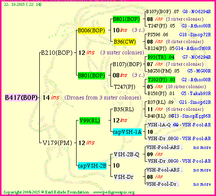 Pedigree of B417(BOP) :
four generations presented