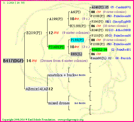 Pedigree of B417(DGF) :
four generations presented