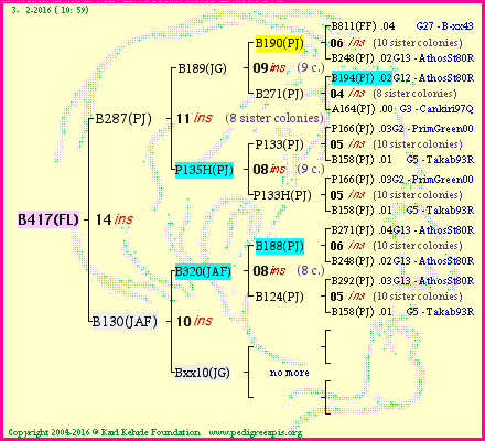 Pedigree of B417(FL) :
four generations presented