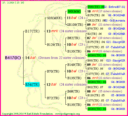 Pedigree of B417(IC) :
four generations presented