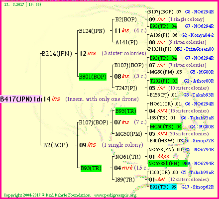 Pedigree of B417(JPN)1dr :
four generations presented