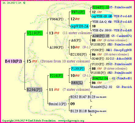 Pedigree of B418(PJ) :
four generations presented<br />it's temporarily unavailable, sorry!