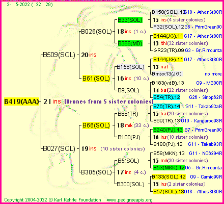 Pedigree of B419(AAA) :
four generations presented
it's temporarily unavailable, sorry!