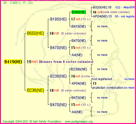 Pedigree of B419(HE) :
four generations presented
it's temporarily unavailable, sorry!