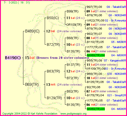 Pedigree of B419(IC) :
four generations presented
it's temporarily unavailable, sorry!