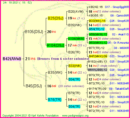 Pedigree of B42(AVM) :
four generations presented
it's temporarily unavailable, sorry!