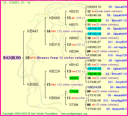 Pedigree of B42(BLW) :
four generations presented<br />it's temporarily unavailable, sorry!