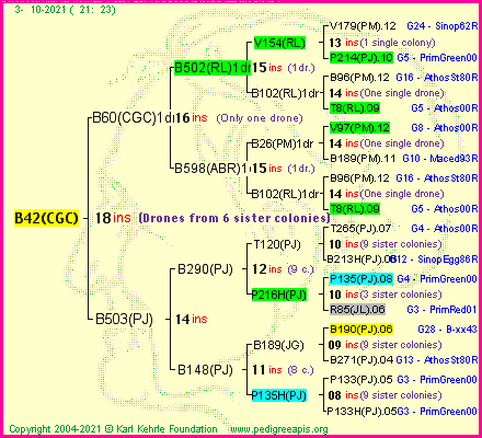 Pedigree of B42(CGC) :
four generations presented
it's temporarily unavailable, sorry!