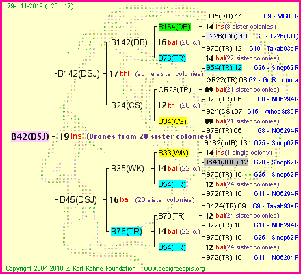 Pedigree of B42(DSJ) :
four generations presented
it's temporarily unavailable, sorry!