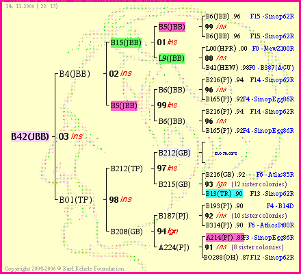 Pedigree of B42(JBB) :
four generations presented