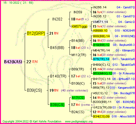 Pedigree of B42(KAS) :
four generations presented
it's temporarily unavailable, sorry!