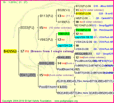 Pedigree of B42(SG) :
four generations presented<br />it's temporarily unavailable, sorry!