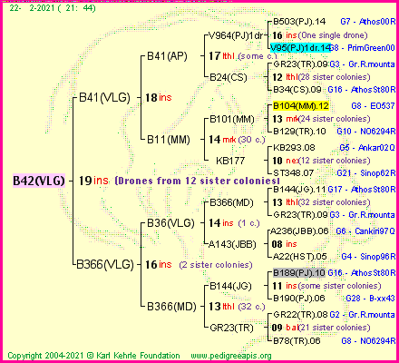 Pedigree of B42(VLG) :
four generations presented
it's temporarily unavailable, sorry!