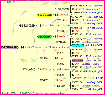 Pedigree of B420(GMH) :
four generations presented