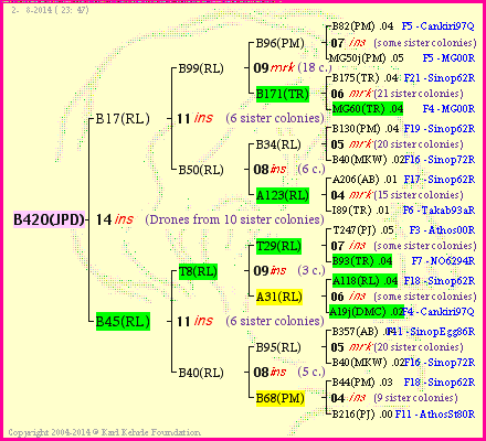 Pedigree of B420(JPD) :
four generations presented