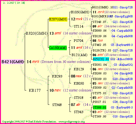 Pedigree of B421(GMH) :
four generations presented