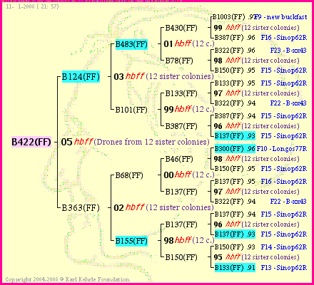 Pedigree of B422(FF) :
four generations presented