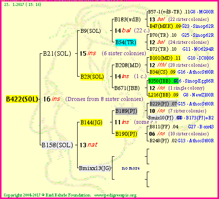 Pedigree of B422(SOL) :
four generations presented