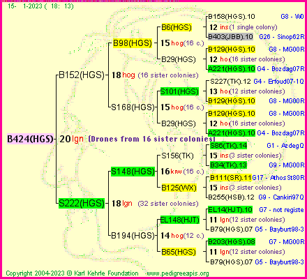 Pedigree of B424(HGS) :
four generations presented
it's temporarily unavailable, sorry!