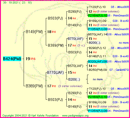 Pedigree of B424(PM) :
four generations presented
it's temporarily unavailable, sorry!