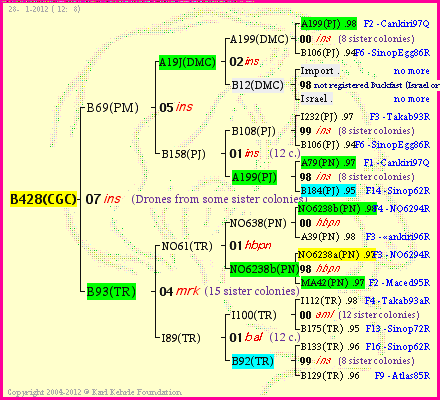 Pedigree of B428(CGC) :
four generations presented