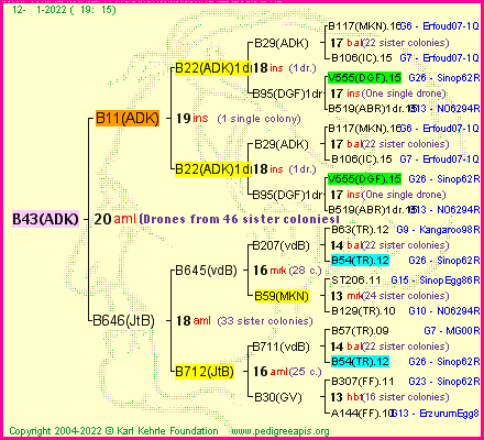 Pedigree of B43(ADK) :
four generations presented
it's temporarily unavailable, sorry!