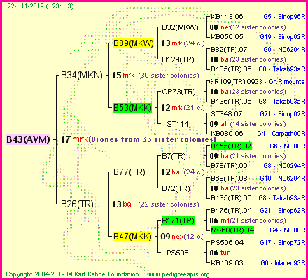 Pedigree of B43(AVM) :
four generations presented
it's temporarily unavailable, sorry!