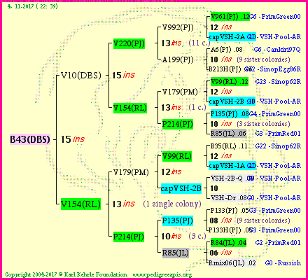 Pedigree of B43(DBS) :
four generations presented