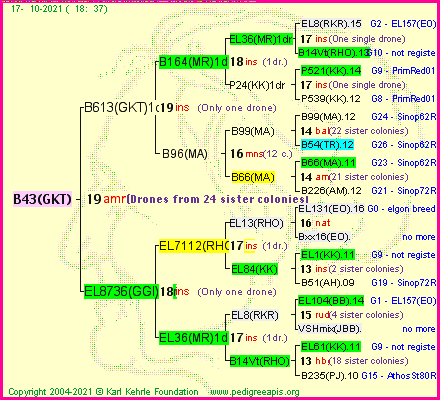 Pedigree of B43(GKT) :
four generations presented
it's temporarily unavailable, sorry!