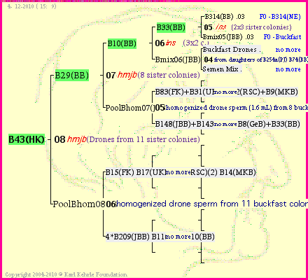 Pedigree of B43(HK) :
four generations presented