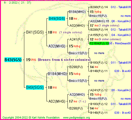 Pedigree of B43(SGS) :
four generations presented
it's temporarily unavailable, sorry!