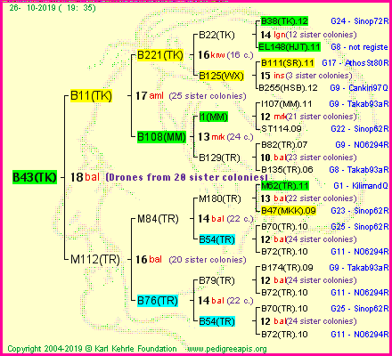 Pedigree of B43(TK) :
four generations presented
it's temporarily unavailable, sorry!