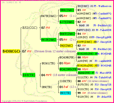 Pedigree of B430(CGC) :
four generations presented