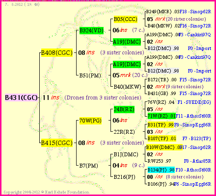 Pedigree of B431(CGC) :
four generations presented