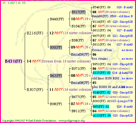 Pedigree of B431(FF) :
four generations presented
it's temporarily unavailable, sorry!