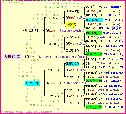 Pedigree of B431(JG) :
four generations presented