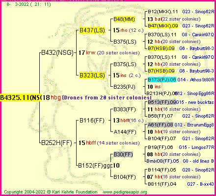 Pedigree of B4325.11(NSG) :
four generations presented
it's temporarily unavailable, sorry!