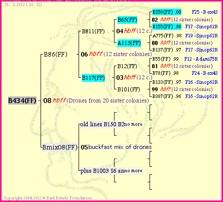 Pedigree of B434(FF) :
four generations presented