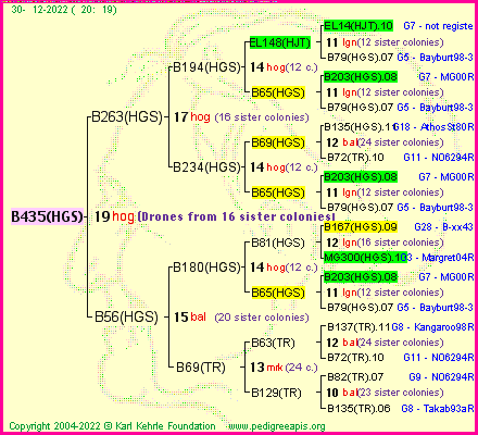 Pedigree of B435(HGS) :
four generations presented
it's temporarily unavailable, sorry!