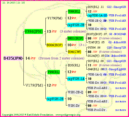 Pedigree of B435(JPN) :
four generations presented