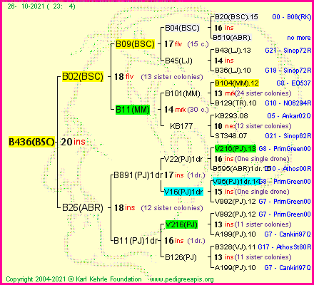 Pedigree of B436(BSC) :
four generations presented
it's temporarily unavailable, sorry!