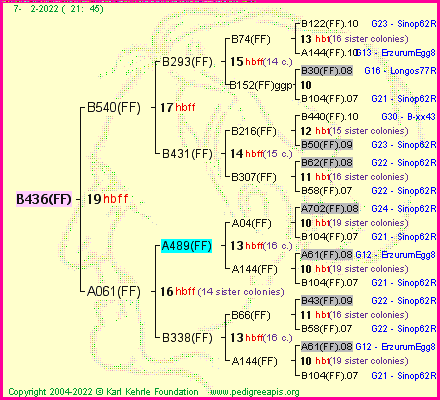 Pedigree of B436(FF) :
four generations presented
it's temporarily unavailable, sorry!